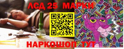 спайс Гагарин